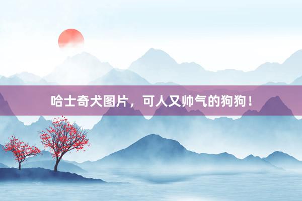 哈士奇犬图片，可人又帅气的狗狗！